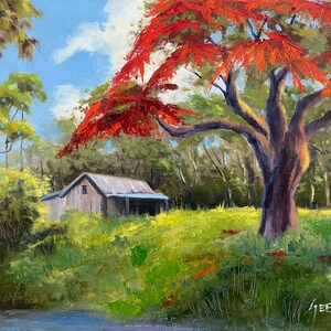 Florida Backcountry with Royal Poinciana Landscape Art Print.