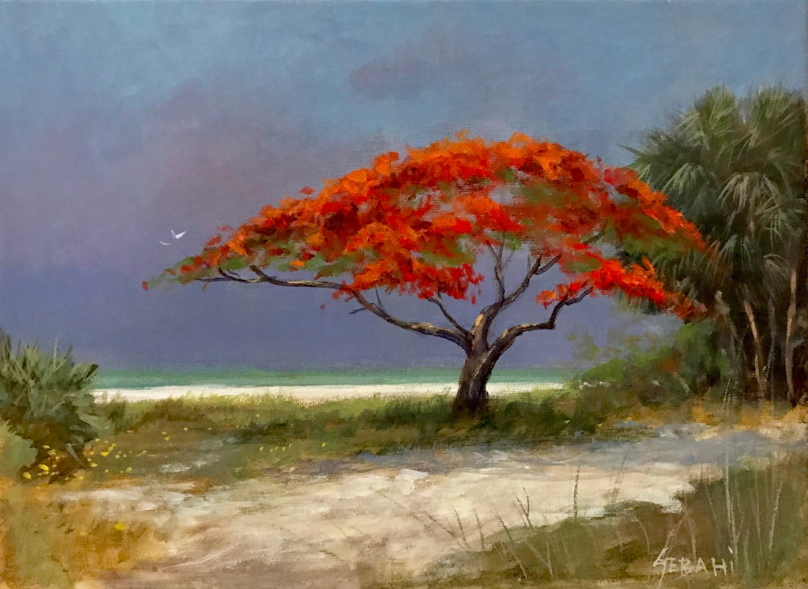 Royal Poinciana by the Sea Art Print Etsy