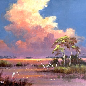 Florida Everglades Sunset Landscape and Wildlife art print by Karim Gebahi