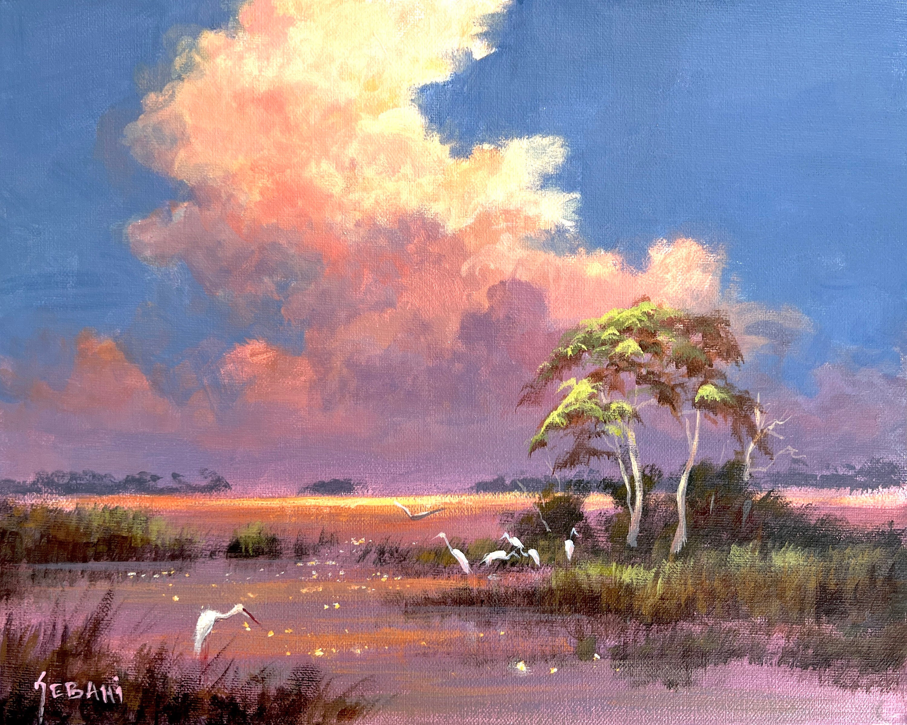Florida Everglades Sunset Landscape and Wildlife Art Print by