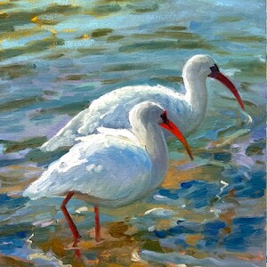 Ibis Wading Wildlife Art Print