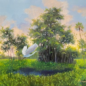 Naples, Florida Wildlife Preserve Landscape Art Print.