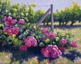 South of France Vineyard Flowers Art Print