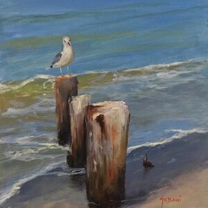 Florida wildlife Seascape Seagull Animal Art Print.