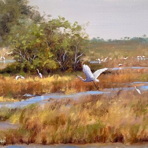 Florida Everglades landscape and Wildlife Art Print.