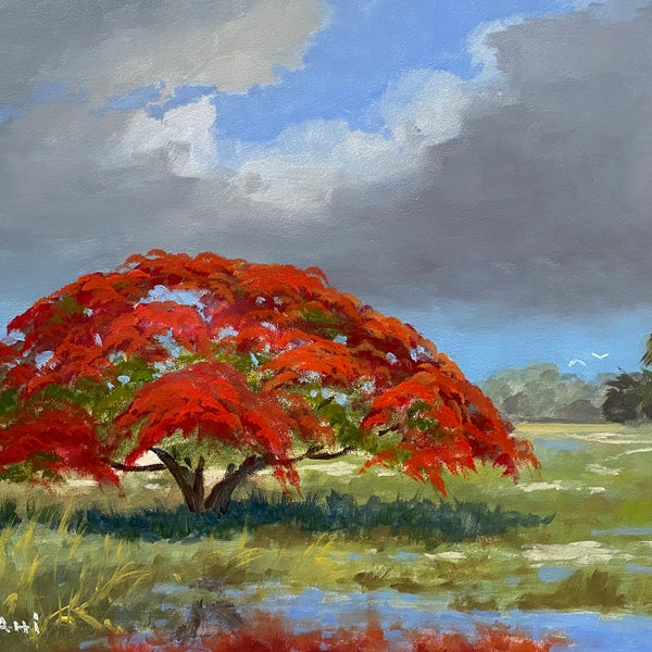 South Florida Royal Poinciana Landscape Art Print.