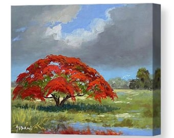 Royal Poinciana Landscape Canvas Print.