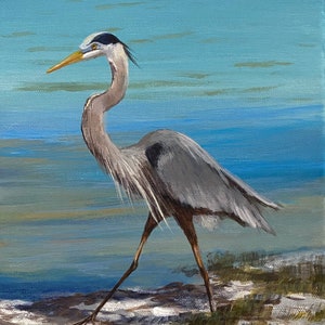 Blue Heron Florida Wildlife Portrait. Original!