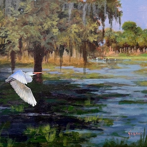 Florida Wetlands and Wildlife art print by Karim Gebahi