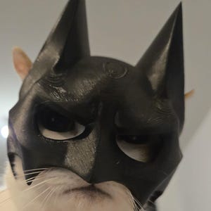 BatCat Mask Cat Mask Superhero Cat Mask Cat Face Mask for Costume Parties Handmade / Handcrafted