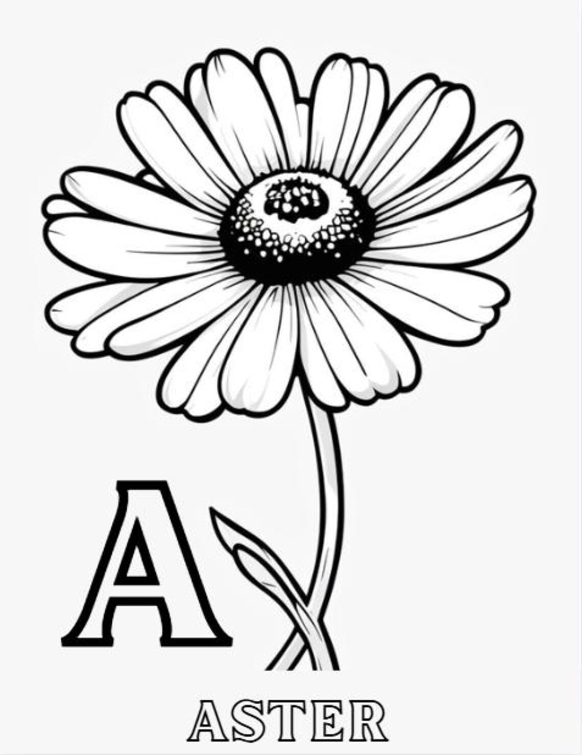 A to Z Flower Coloring Book | Alphabet Garden, All Ages (PDF Pattern ...