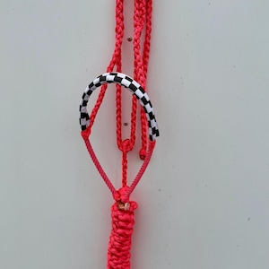 Rutig mulebandsgrimma