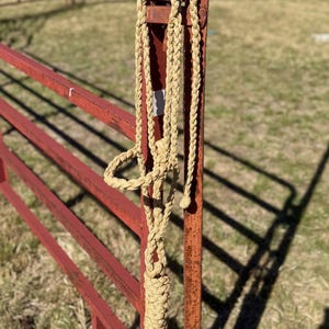 Rundad nosgrimma med muleband