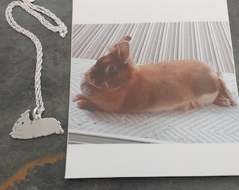 Collier de lapin personnalisé, pendentif TaGette de votre lapin pour animaux de compagnie, bijoux de mémoire de silhouette en argent sterling, cadeau commémoratif souvenir