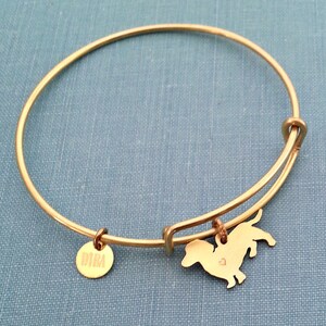 May include: Gold expandable bracelet with a dachshund charm and a small tag that says "DIBA".