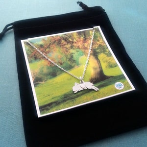 May include: A silver necklace with a jumping bunny pendant and a small heart charm. The necklace is displayed on a white card with a green and brown nature scene. The card is on top of a black velvet pouch.