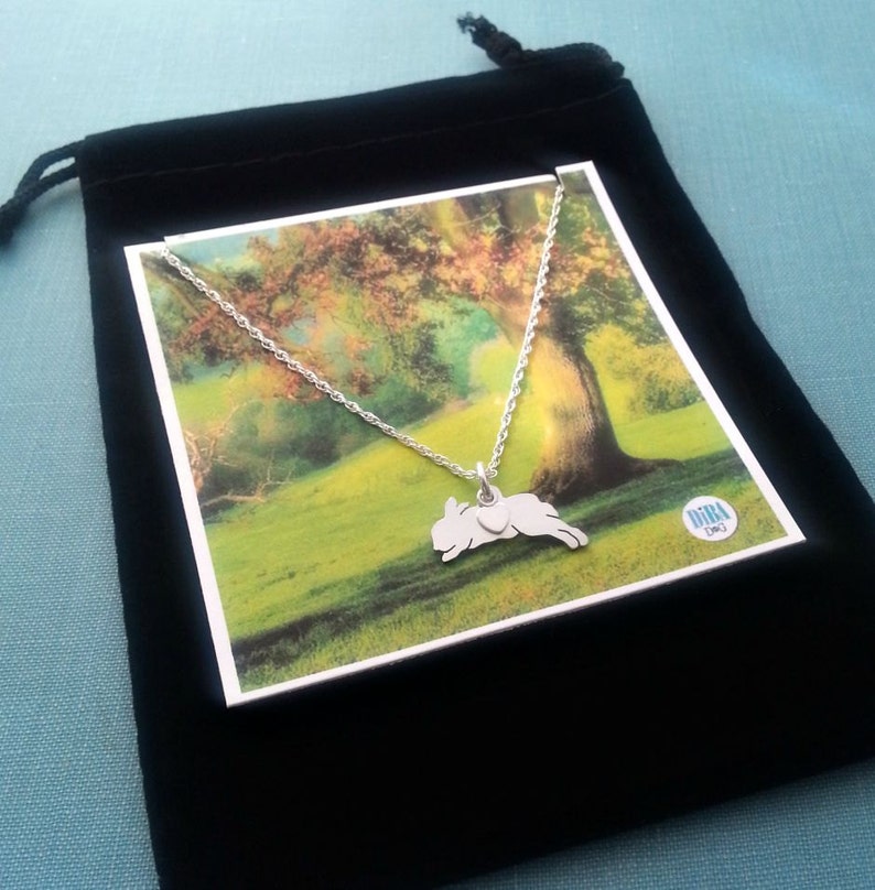 May include: A silver necklace with a jumping bunny pendant and a small heart charm. The necklace is displayed on a white card with a green and brown nature scene. The card is on top of a black velvet pouch.