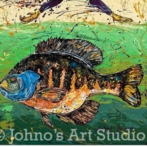 Rooster art, Fish art, modern wall art, Bluegill, Print by Johno Prascak, Pittsburgh art image 3