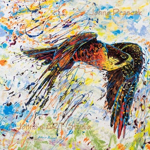 Bird print, Falcon art, Bird of Prey art, Bird art, Nature art, metal prints, Johno Prascak, Johnos Art Studio image 1