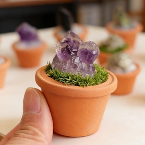 Mini Crystal Plant Decor, Raw Crystal Pot, Healing Crystal Decor, Amethyst Quartz Gift, Desk Decor, Spiritual Gift, Energy Crystal Display
