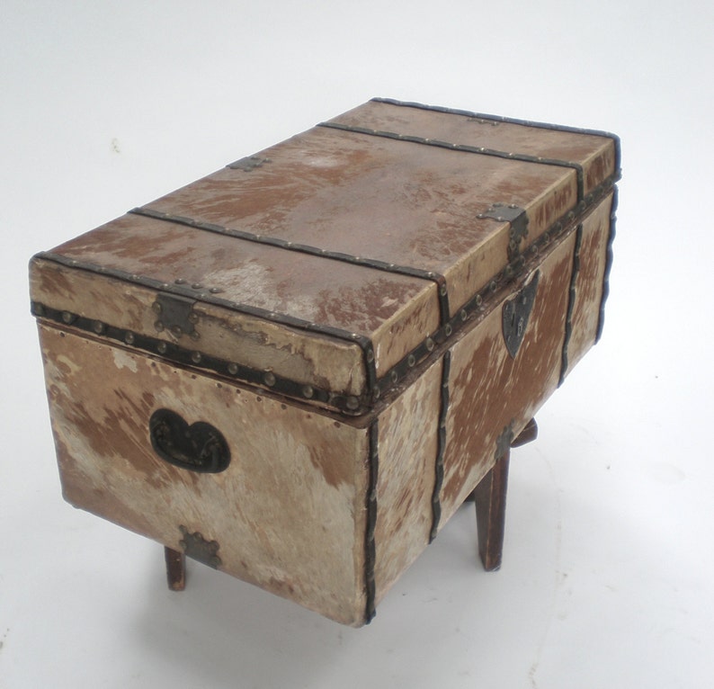 Antique Pony Hair Trunk /Stage Coach Etsy