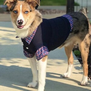 May include: A dog wearing a navy blue sweater with a red, white, and blue plaid shirt collar and cuffs. The dog has blue eyes, a white and brown face, and is standing on a concrete surface.