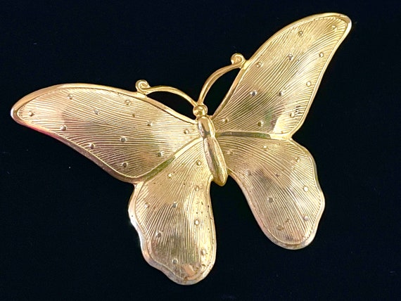 Vintage Butterfly Brooch for Women, 70s Costume J… - image 1