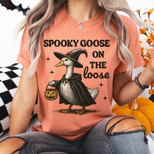 Spooky Goose Halloween T-Shirt, Halloween Witch Shirt, Retro Goose Halloween Tee, Funny Witch Costume Shirt, Animal Lovers Halloween Gift Terracotta
