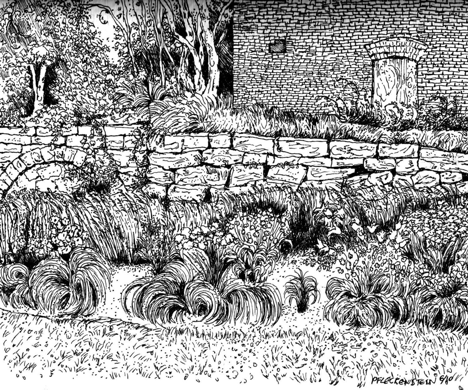Nature Coloring Page Instant Printable Picture to Download, Pen and Ink Drawing to Color for Adults,Teens,Children ,Garden,Flowers,Landscape