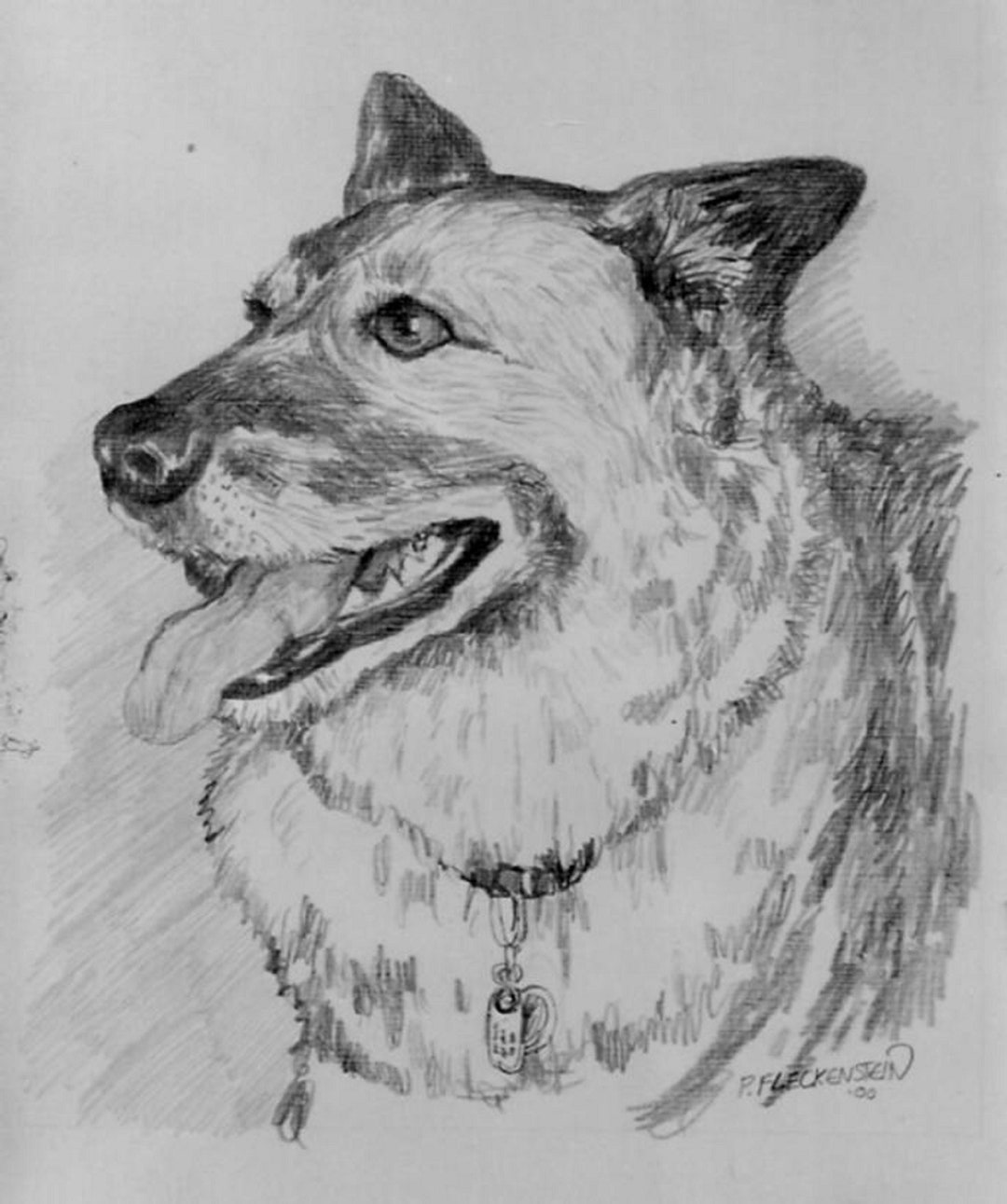 Pet Portrait Handdrawn by Artist From Photooriginal Custom Etsy