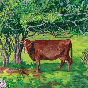 Könnte beinhalten: Eine braune Kuh steht auf einer grünen Wiese mit Bäumen im Hintergrund. Die Kuh schaut nach links im Bild.