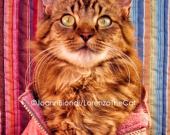 Tarjeta de felicitación Pink Stripes