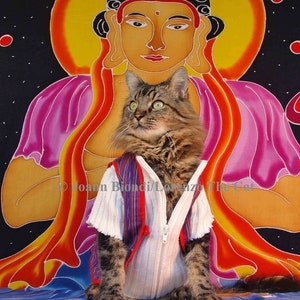 Buddha Puss Greeting Card image 1