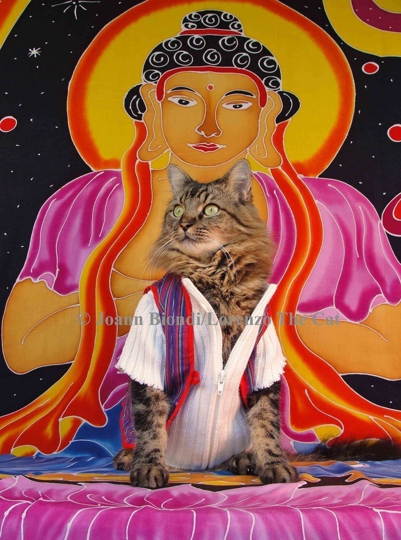 Buddha Puss Greeting Card image 1