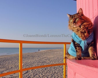 South Beach 5 x 7 impresión