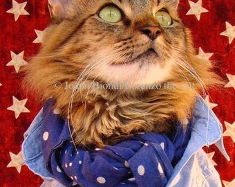 Americana Cat Greeting Card