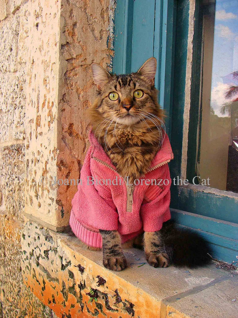 Real Men Wear Pink Greeting Card image 1