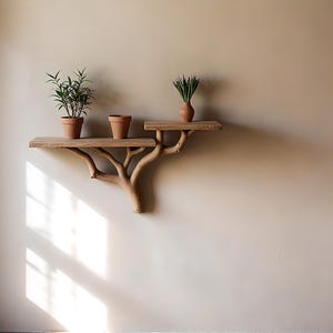 Floating shelves for living room decoration