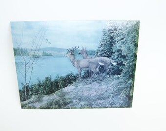 Vintage 60's Lenticular Lakeside Deer Picture - Subtle 3D Effect - WonderCo. Tokyo Japan