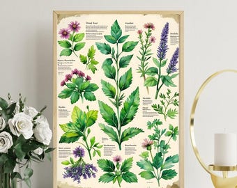 Beginner's Herbal Guide: Plant-Based Healing eBook (Digital Download)