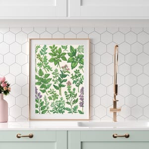 Herb Plant Wall Art Print, Botanical Herb Illustration, Kitchen Herb Garden Poster, Vintage Herbal Chart, Line Art Digital Download