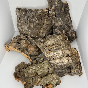 May include: A collection of five pieces of natural cork bark, varying in size and shape. The bark is a light brown color with a rough, textured surface.