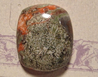 Spider Web Jasper cab  .................           28 x 24 x  7mm            2982