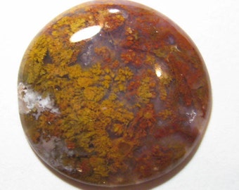 Maury Mountain Red Moss Agate cab ......    24 mm round x 4 mm thick ......          B651
