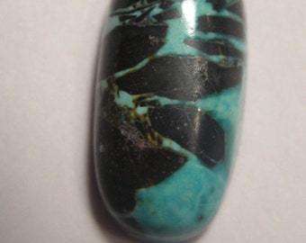 Austin-blauw. Natuurlijke Nevada Turquoise cabine.    20 x 10 x 5 mm.    a2924
