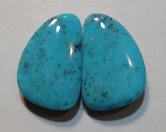 Nevada turkos cabset. Örhängen i par. 21 x 13 x 4 mm. B2412