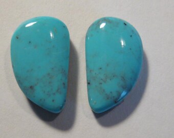 Nevada Turquoise cabineset .... paar oorbellen .... 19 x 11 x 6 mm ..... B2432