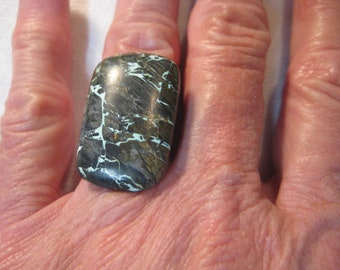 Austin Blauw . Natuurlijke Nevada Turquoise cabine.   29 x 18 x 4 mm .    B5063