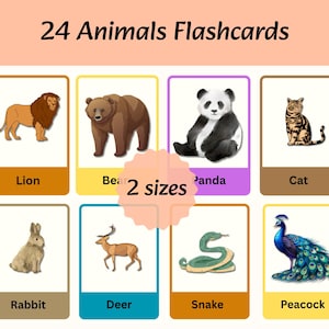 Animal Flashcards for Toddlers: Montessori Printable Cards (PDF Digital Download)
