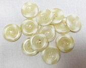 Large light tan and cream button marbled finish sewing buttons 1 1 4 sewing button 6 buttons
